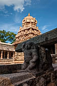 The great Chola temples of Tamil Nadu - The Airavatesvara temple of Darasuram. Detail of the gargoyle that discharge the water from the sanctum. 